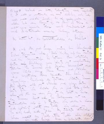 Diary entry detailing his encounter with the so-called wonder-rabbi of Grodek. Diary entry detailing his encounter with the so-called wonder-rabbi of Grodek.